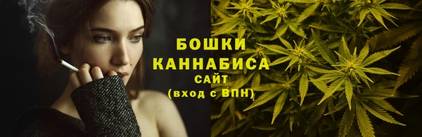 винт Каменка