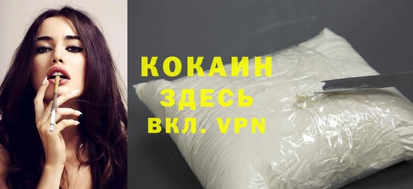 винт Каменка