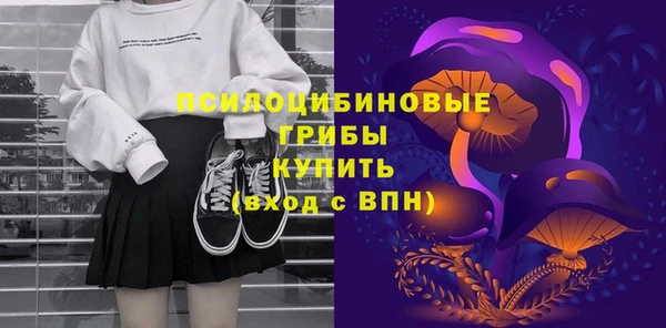 винт Каменка