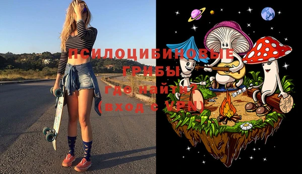 винт Каменка
