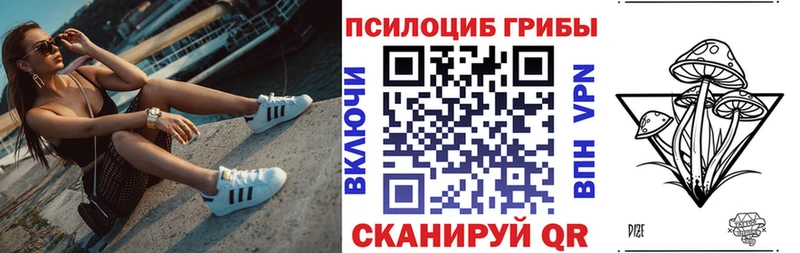 Купить закладки  Туапсе  Галлюциногенные грибы Psilocybe 